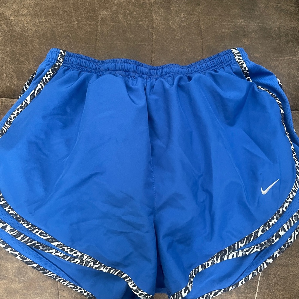 Nike Dry Fit Shorts